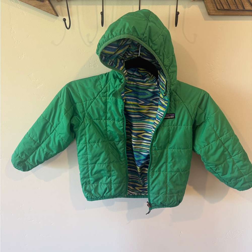 Patagonia Vibrant Green Hooded Jacket